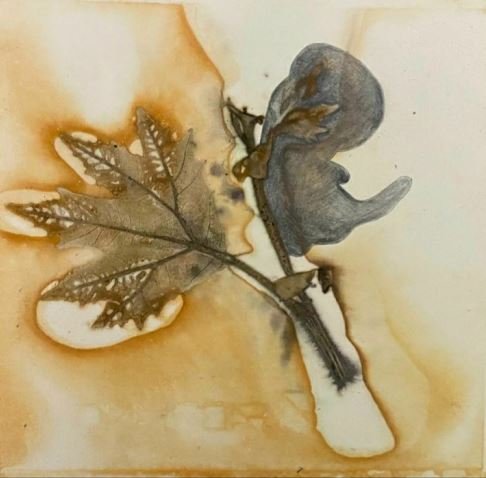 Ghazal Bahiraei, Untitled, 2023