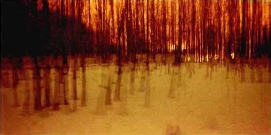 Amirhossein Biparva, Untitled, 2015