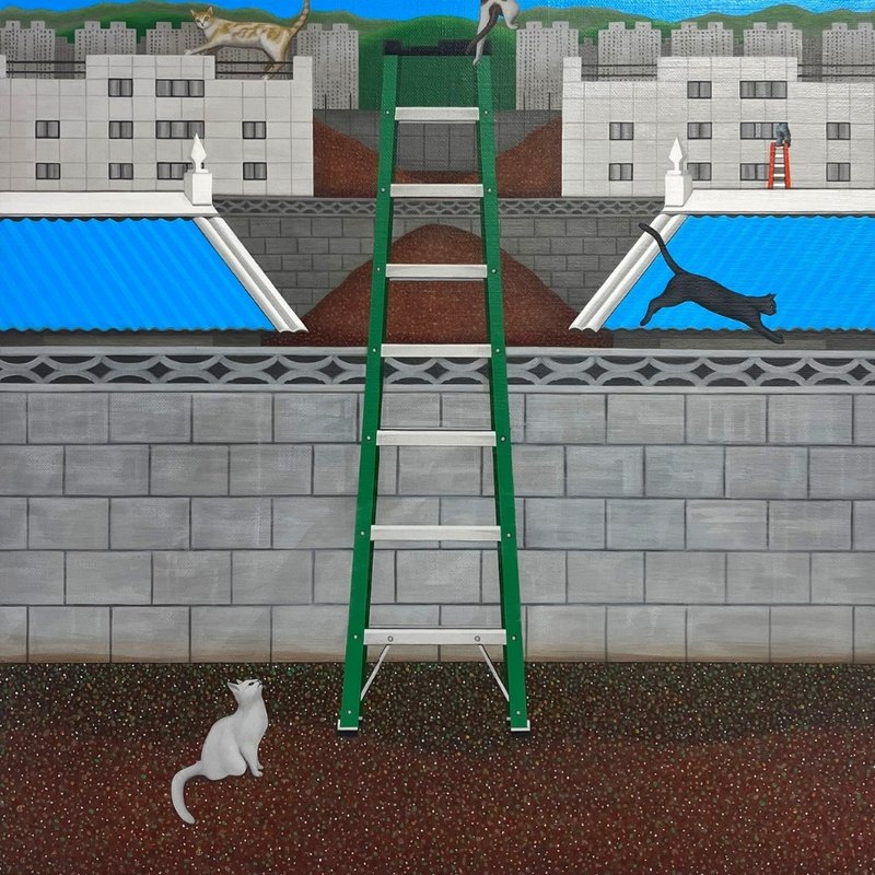 Soyeon Shin, What's The Plan for Today?, 2024