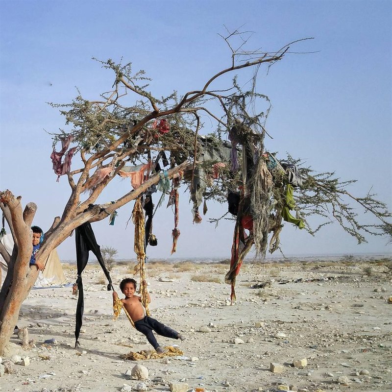 Kiomars Khoshsefat, Untitled
