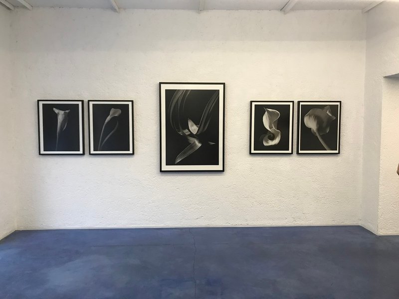Photography Exhibition, installation view