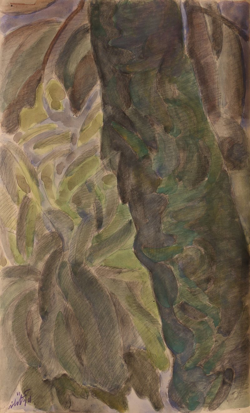 The Late Ali Golestaneh, Untitled