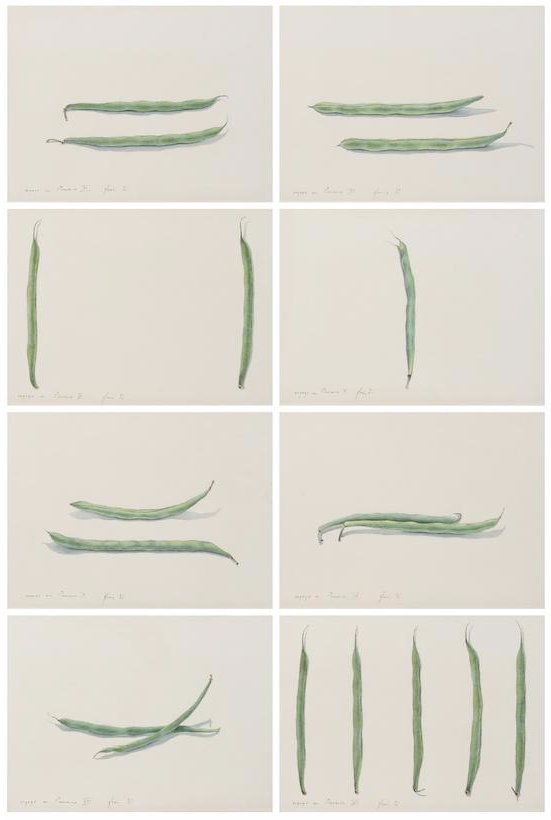 YZ Kami, Voyage En Provence, 1982