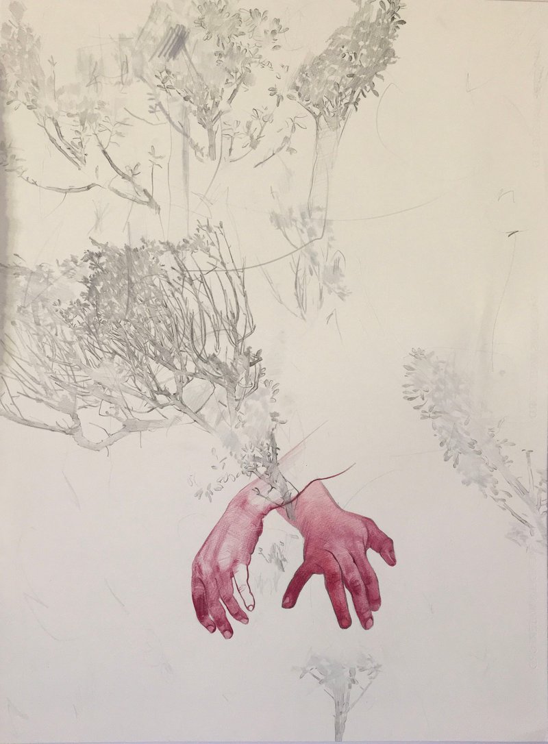 Behnaz Ghasemi, Untitled
