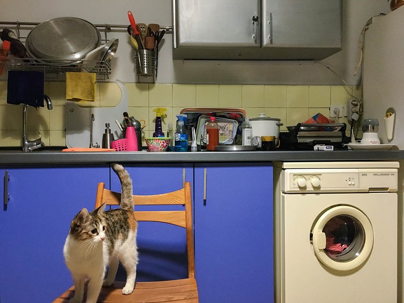 Golnaz Taheri, Kitchen 9