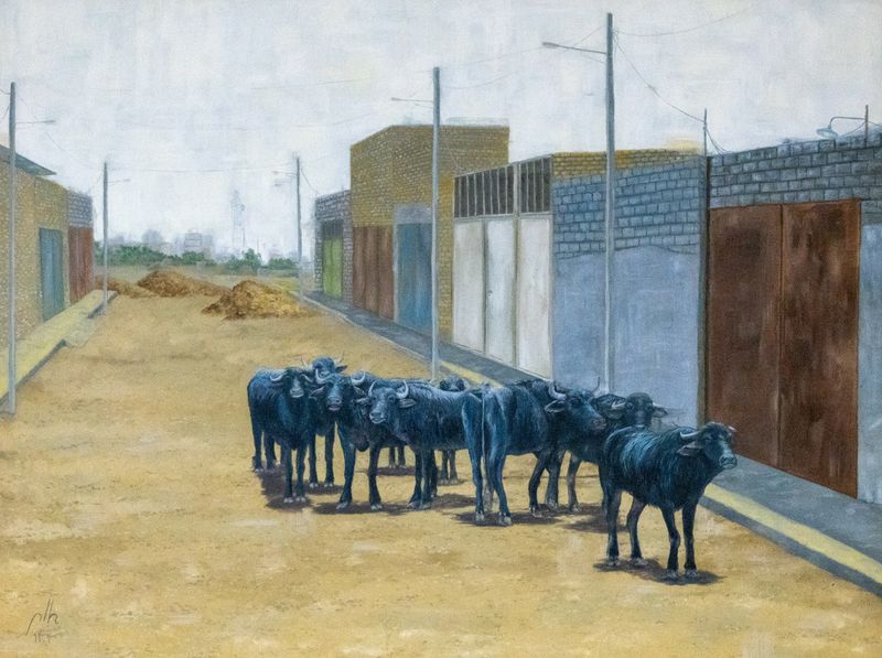 زهره نظام، بدون عنوان