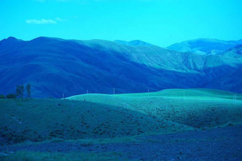 Mana Salehi, Untitled, 2019