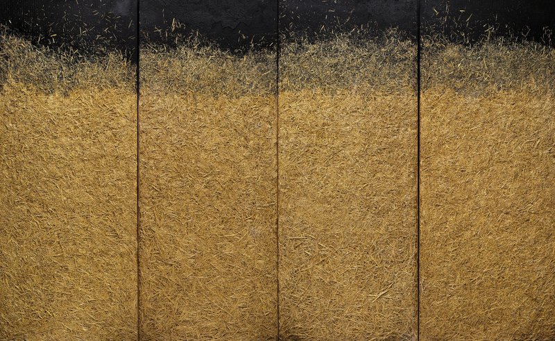 Marcos Grigorian, Summer of 1989, 1989