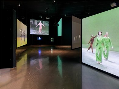Installation view.