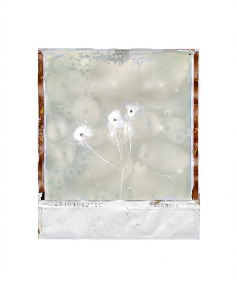 Gohar Dashti, Untitled, 2022