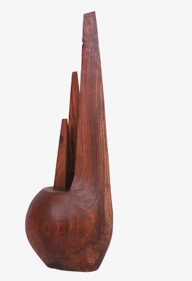 Kambiz Sharif, Cyguns, 2007