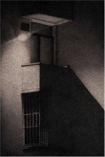 Zahra Rezadoost, Untitled, 2025