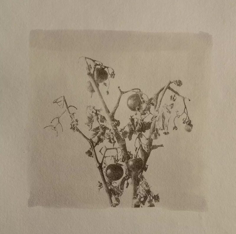 Barren