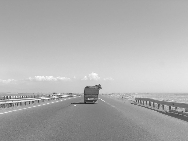 Mohsen Shahmardi, Untitled, 2020
