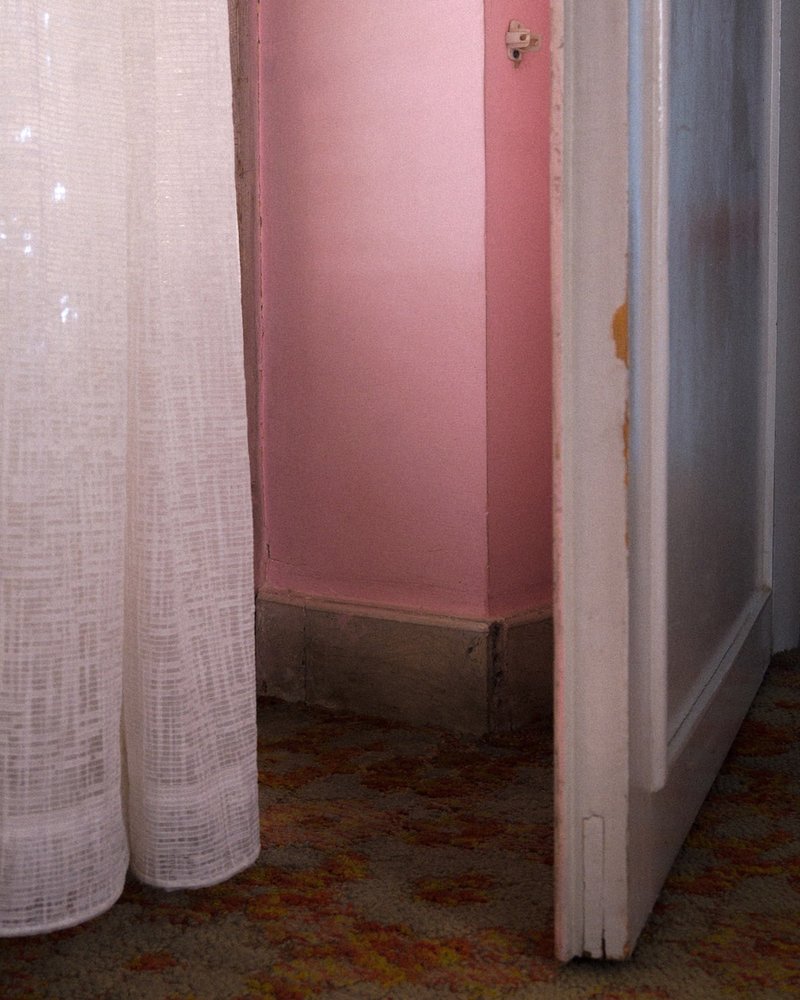 Niki Shadloo, Untitled, 2025