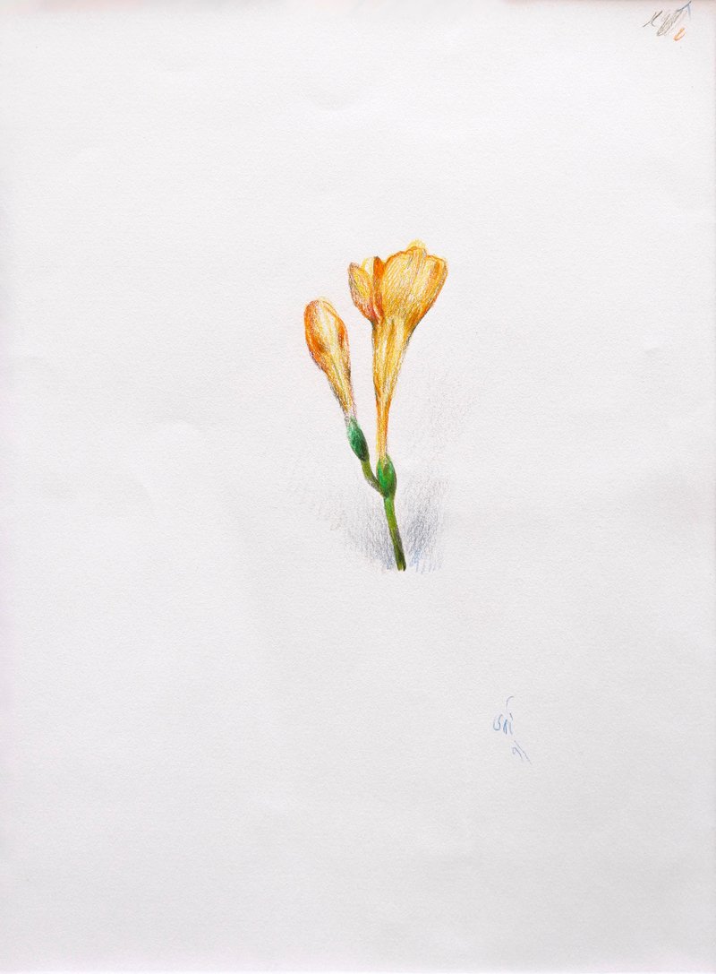 Aydin Aghdashloo, Untitled, 2011