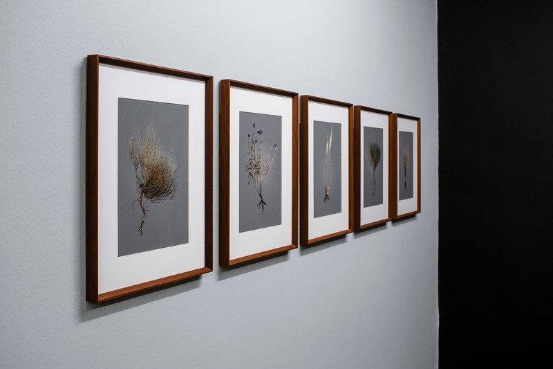 Factory 03, installation view
