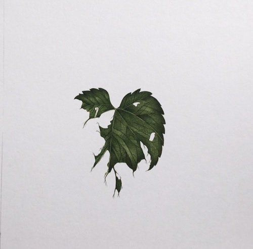 Maryam Baniasadi, Untitled, 2019