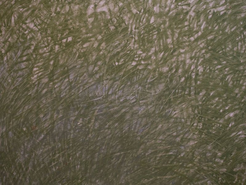 Fereydoun Ave, Untitled 5, 2023