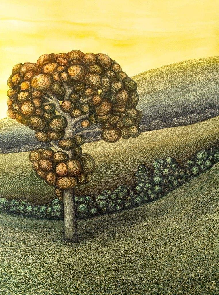 Arezoo Shahdadi, Untitled