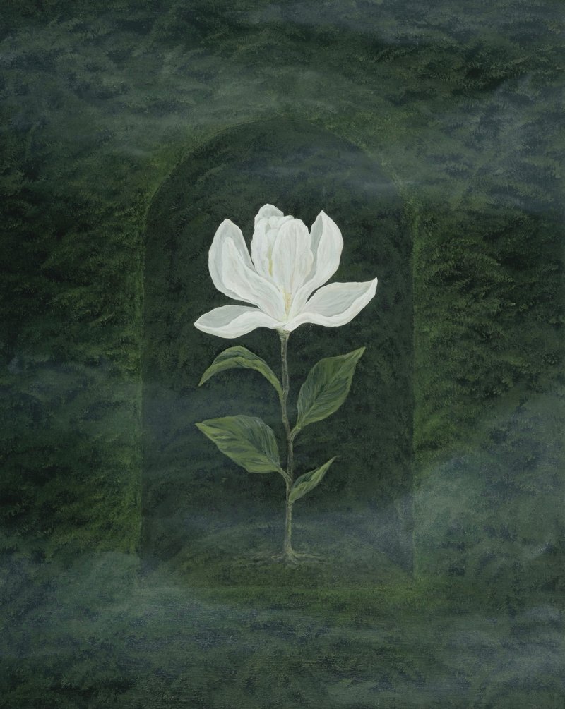 Samaneh Abri, Bloom, 2026