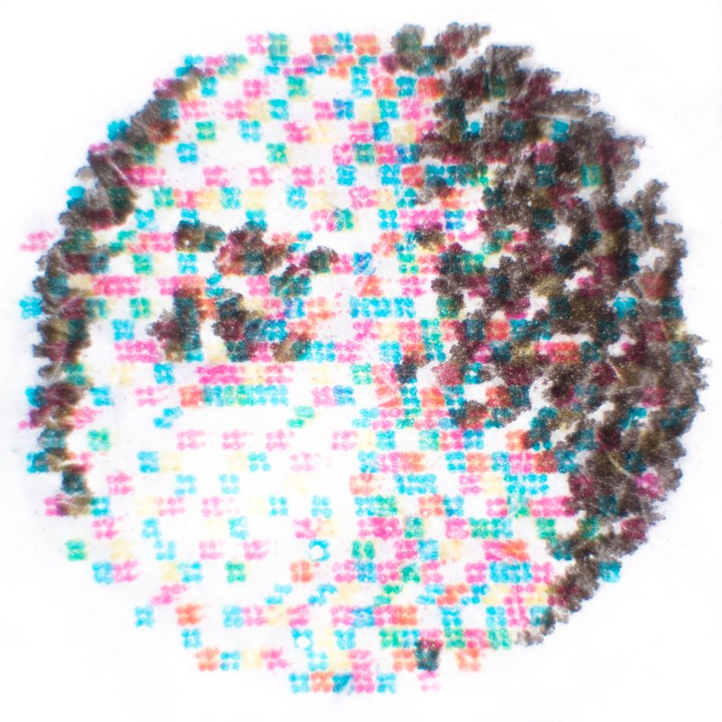 Masood Hajjafarizadeh, Untitled, 2018