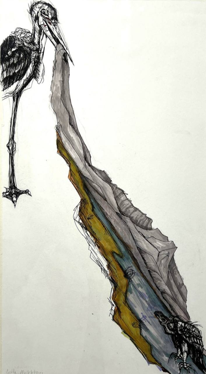 Leila Mokhtari, Untitled
