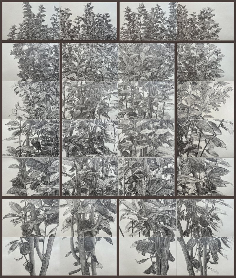 Hamid Pirayesh Moghaddam, Untitled