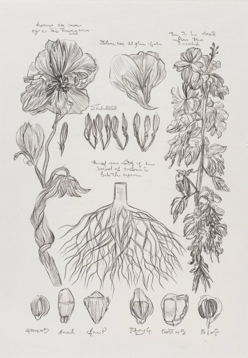 Elaheh Ramezani, Lab Notes I, 2025