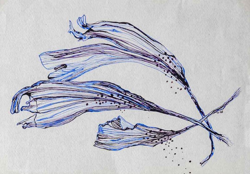 Arezoo Ramezan Jamaa't, Untitled