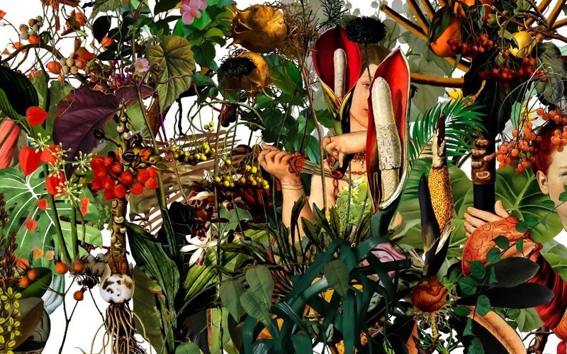 Naeemeh Kazemi, Untitled, 2022