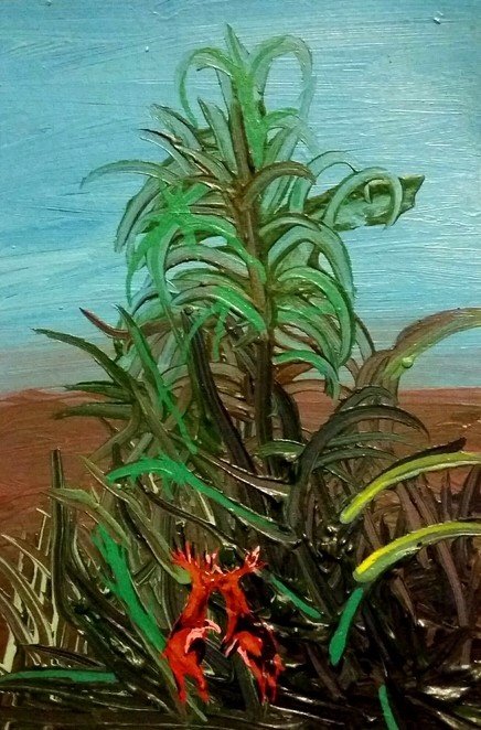 Mahmoudreza Zandpoor, A Place to Breed, 2015