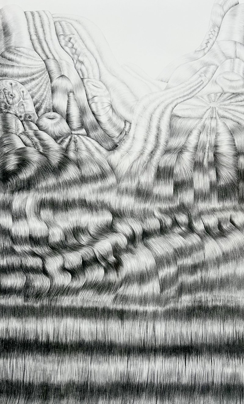 Homa Arkani, Cornrows, 2024