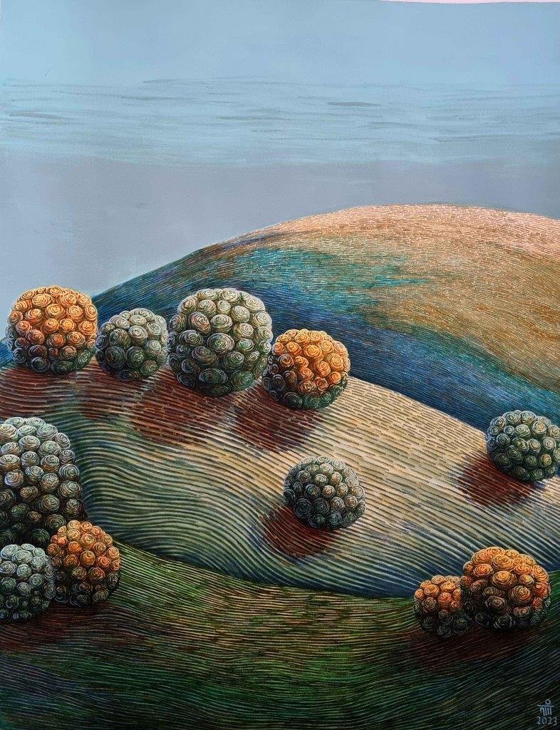 Arezoo Shahdadi, Untitled