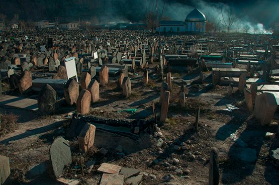 Curriculum Mortis