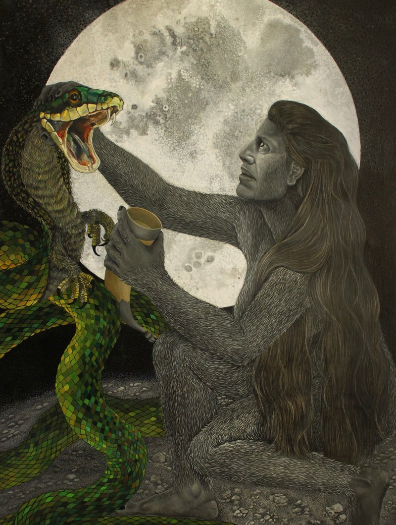 Negin Javaheri, Untitled