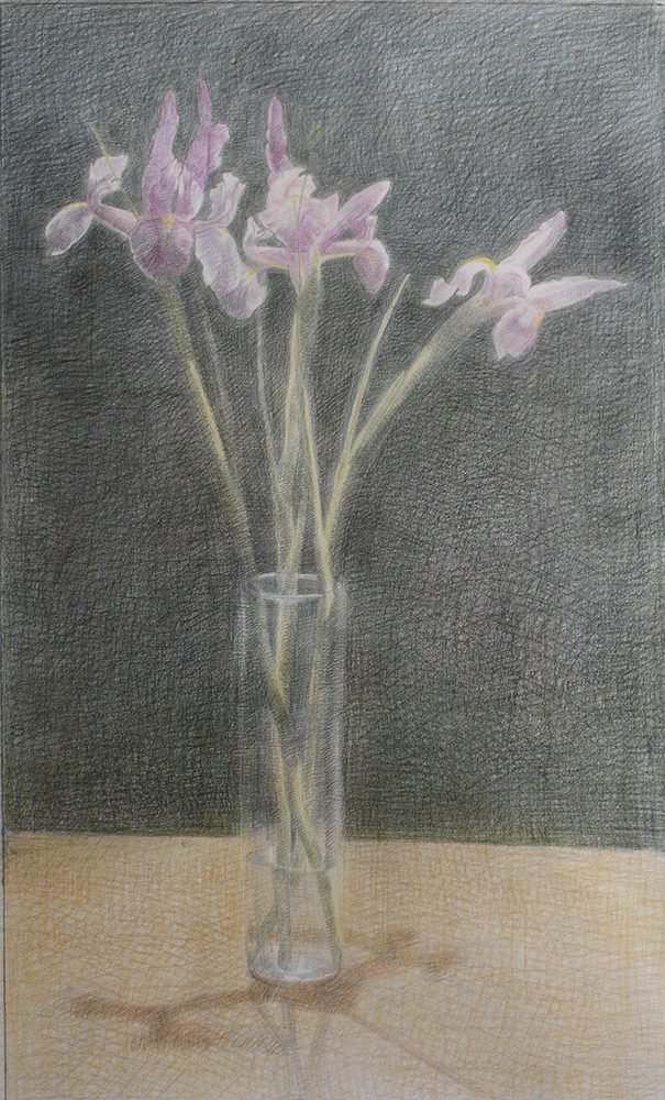 Neda Mirhosseini, Iris, 2022