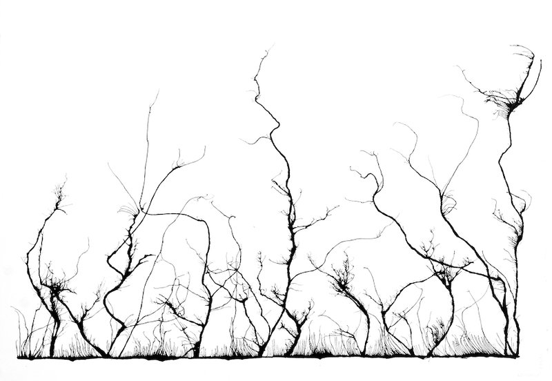 Mahmoud Hamadani, Untitled, 2000