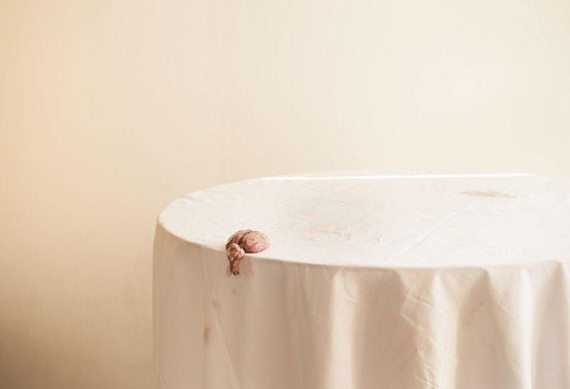 Setare Sanjari, Untitled, 2014