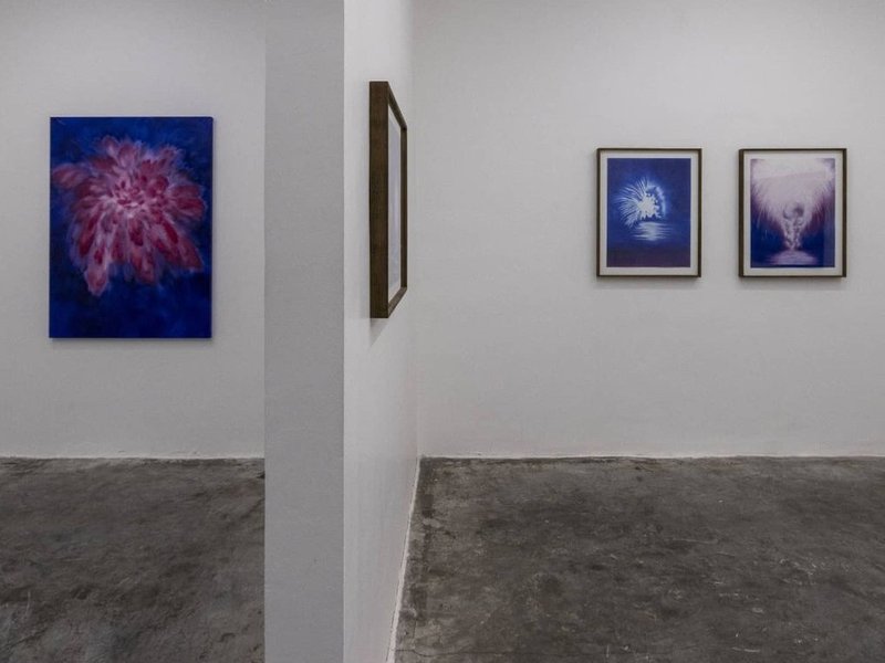 Blooming Lights, installation view