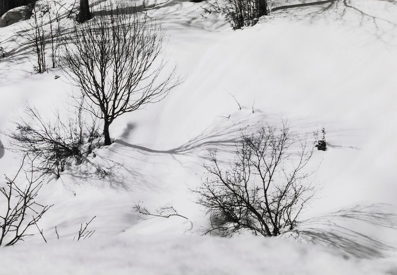 Abbas Gharib, Untitled, 2012