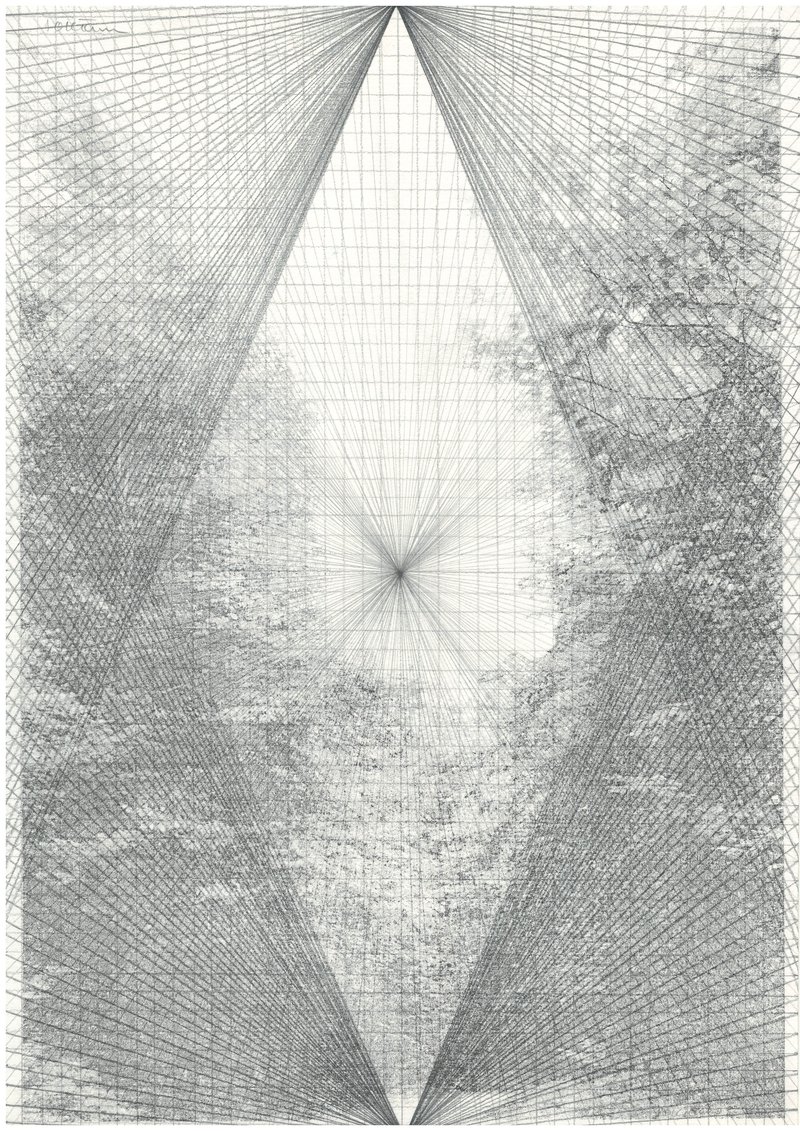 Toktam Saberi Ashrafi, Untitled, 2020