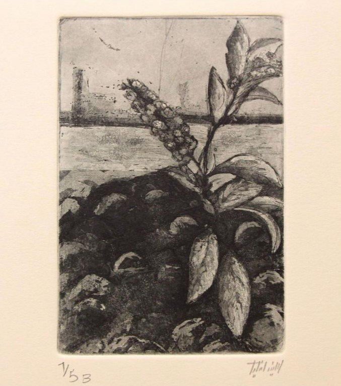 Hanieh Safaei, Untitled, 2019