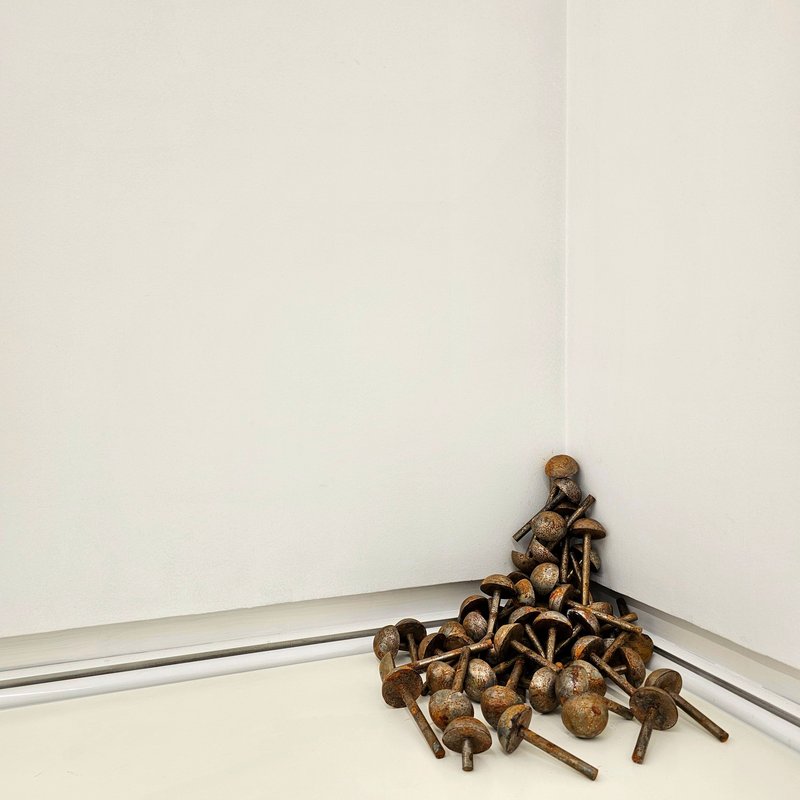 Amirmahdi Zahedy, Untitled