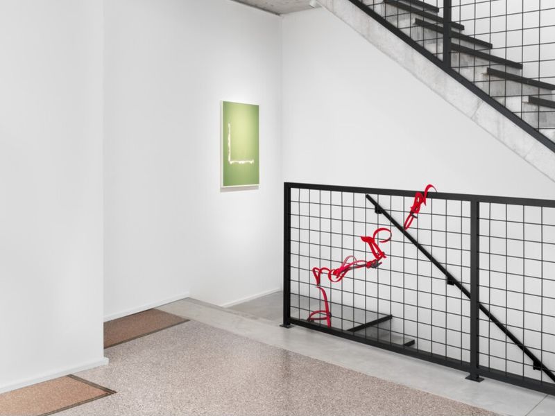 Installation view.