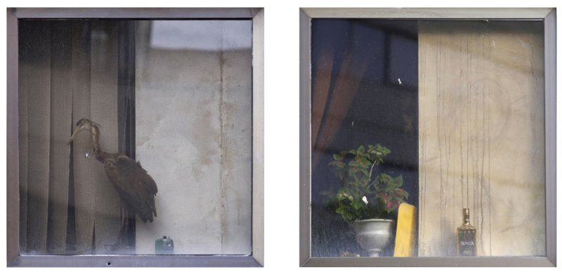 Azam Shadpour, Untitled