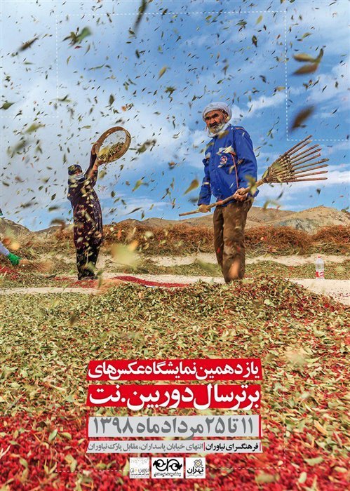 برگزیدگان دوربین.نت