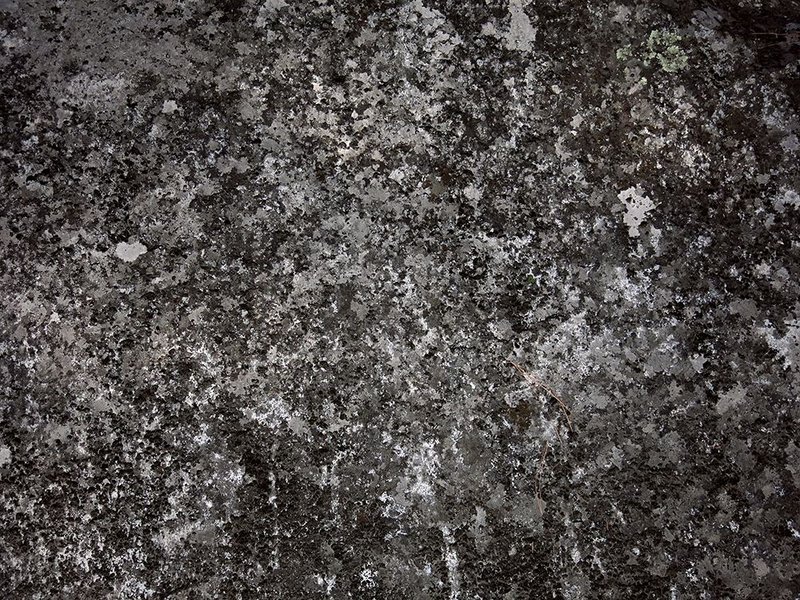Mohammadreza Mirzaei, Untitled, 2022