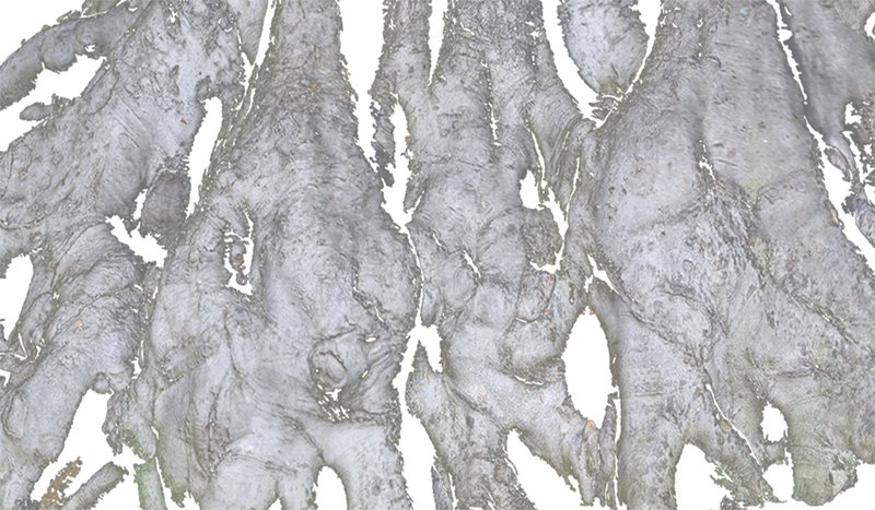 A One-Day Exhibition of "Unrealized Projects" in Berlin