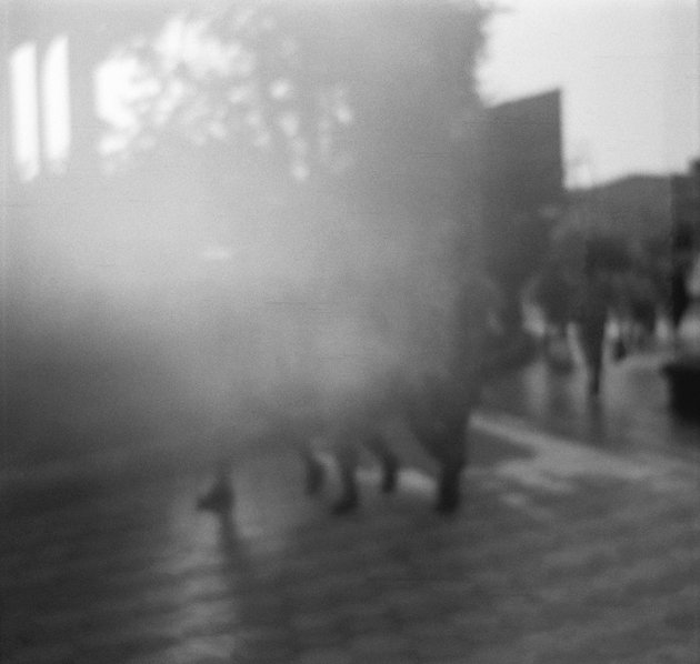 Maryam Takhtkeshian, Untitled, 2020
